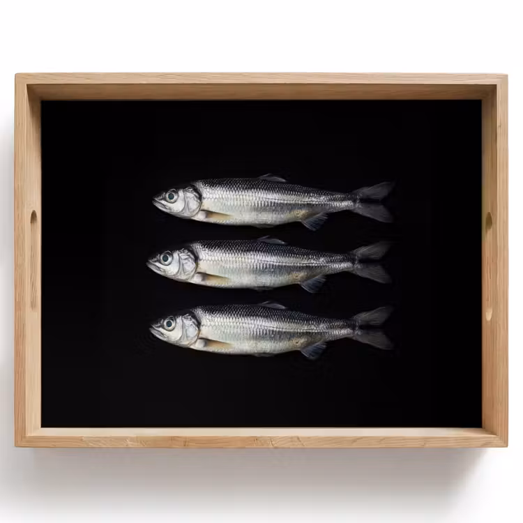 Vassoio - Aringa - Pesce - Nero — 1
