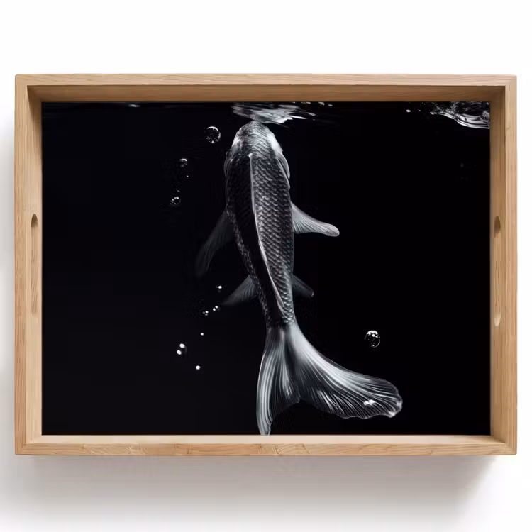 Vassoio - Koi - Pesce - Acqua - Nero — 1