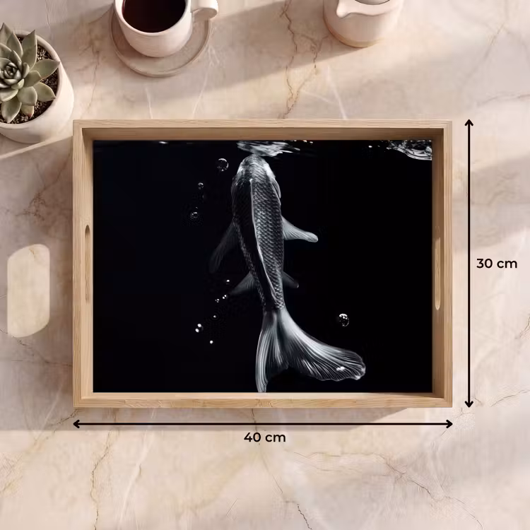 Vassoio - Koi - Pesce - Acqua - Nero — 7