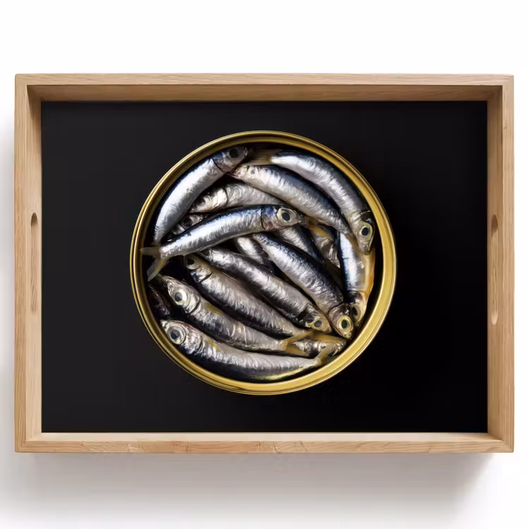 Vassoio - Sardine - Pesce - Rotondo - Nero — 1