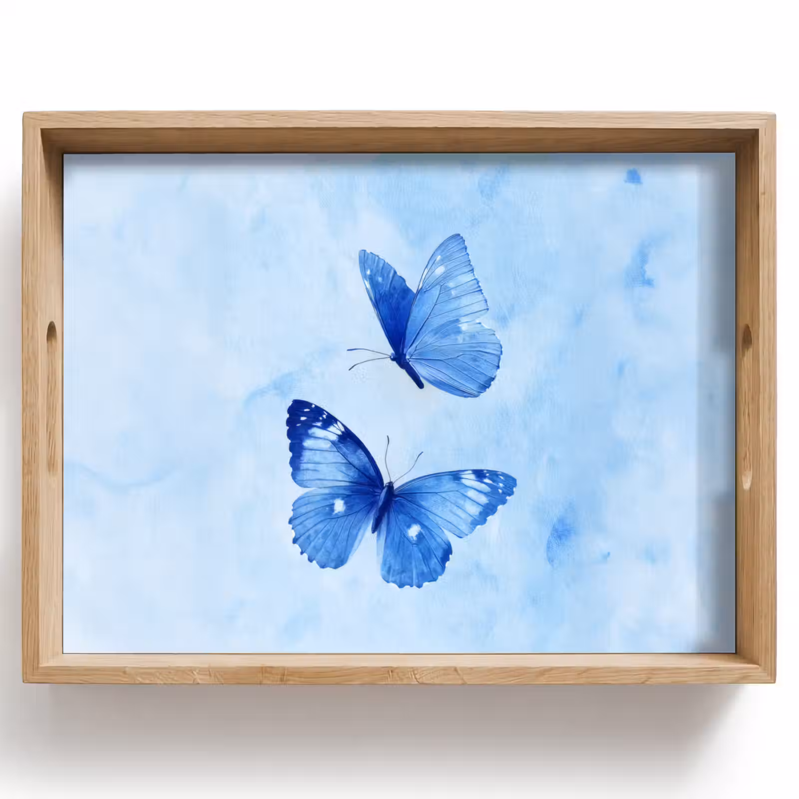 Vassoio - Farfalle - Ornamentali - Blu — 1