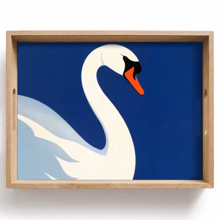 Vassoio - Cigno - Bianco - Becco - Illustrazione — 1