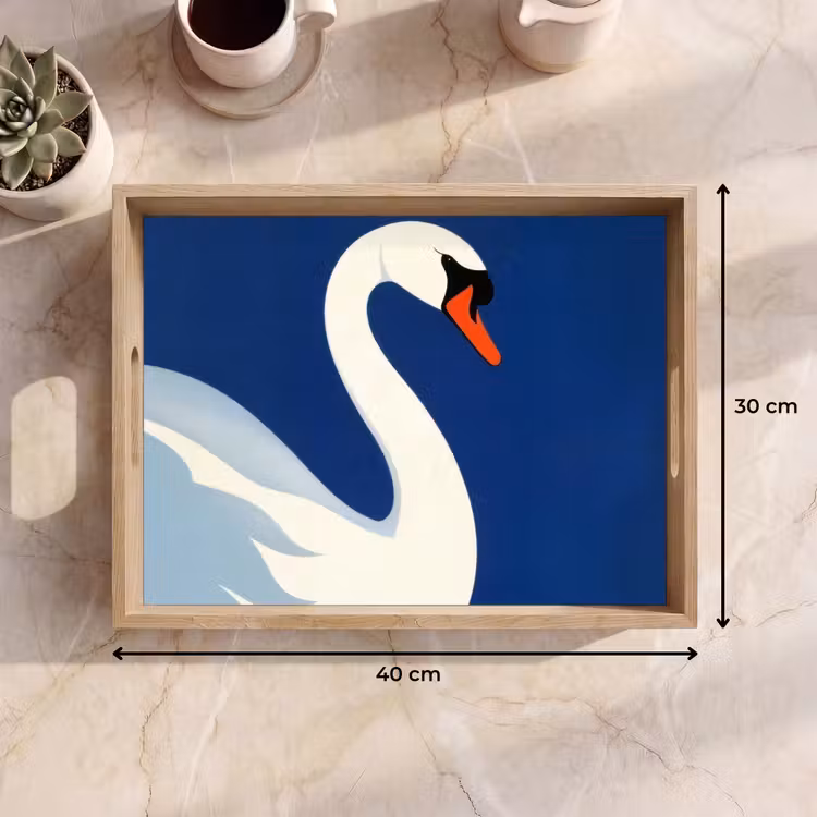 Vassoio - Cigno - Bianco - Becco - Illustrazione — 7