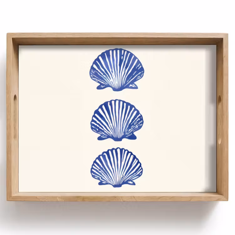 Vassoio - Conchiglie - Blu - Modello — 1