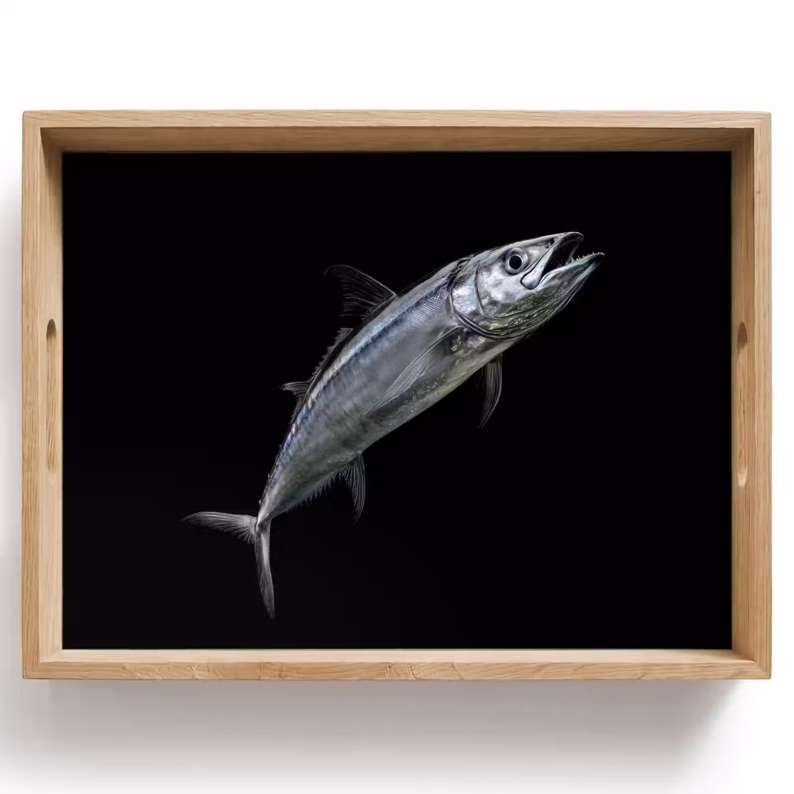Vassoio - Sgombro - Pesce - Nero — 1