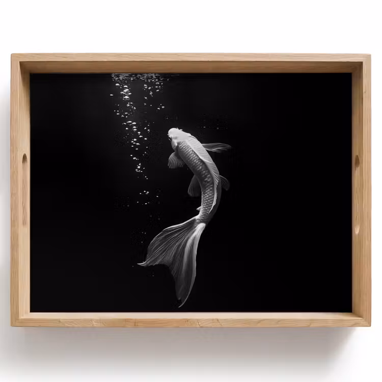 Vassoio - Koi - Pesce - Bianco - Nero — 1