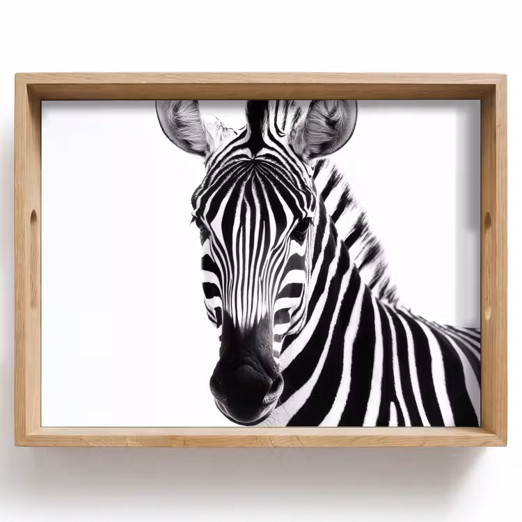 Vassoio - Zebra - Primo piano - Nero - Strisce — 1