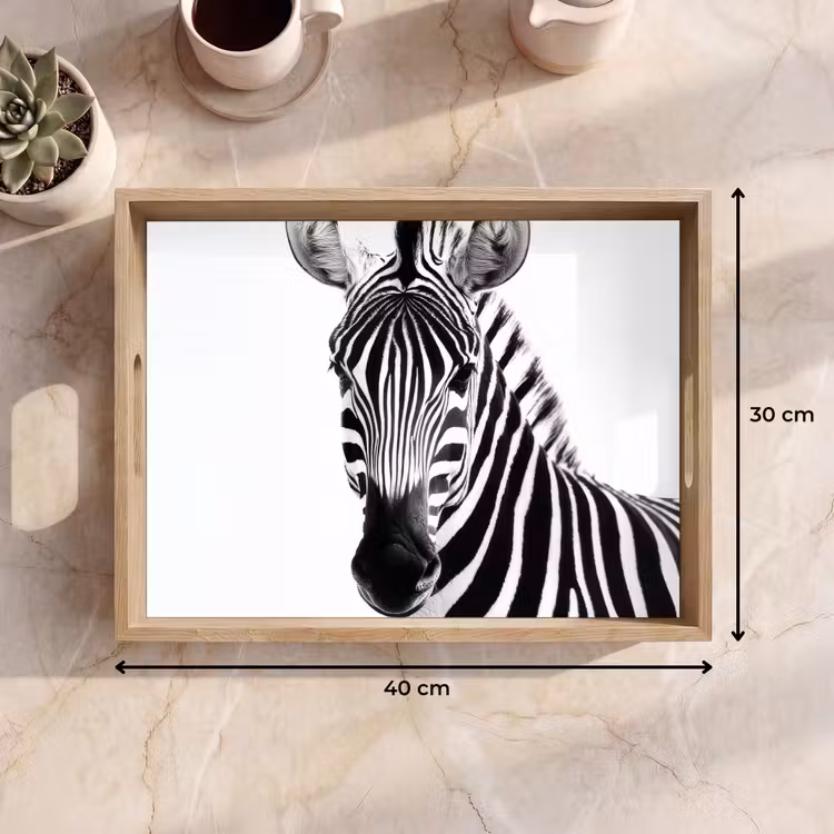 Vassoio - Zebra - Primo piano - Nero - Strisce — 7