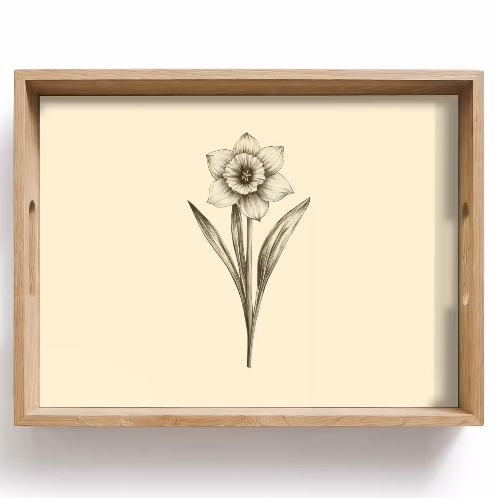 Vassoio - Nero - Narciso - Illustrazione — 1