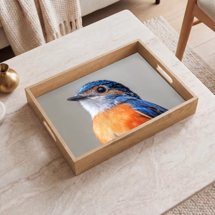 Vassoio - Colorato - Uccello - Piume - Blu — 2