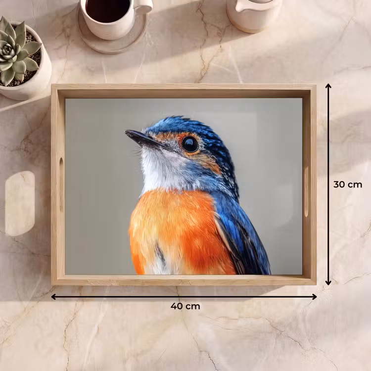 Vassoio - Colorato - Uccello - Piume - Blu — 7