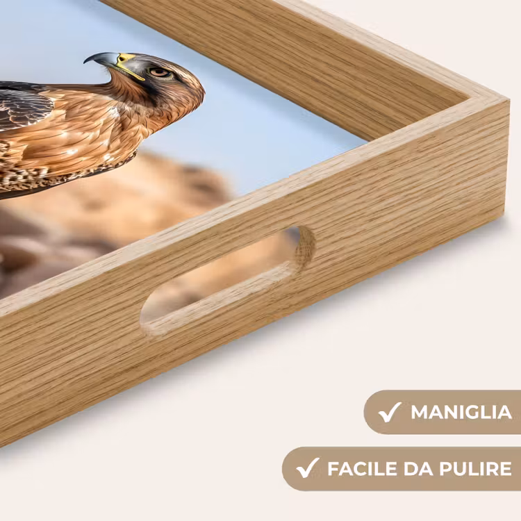 Vassoio - Falco - Uccello - Roccia - Potenza — 8
