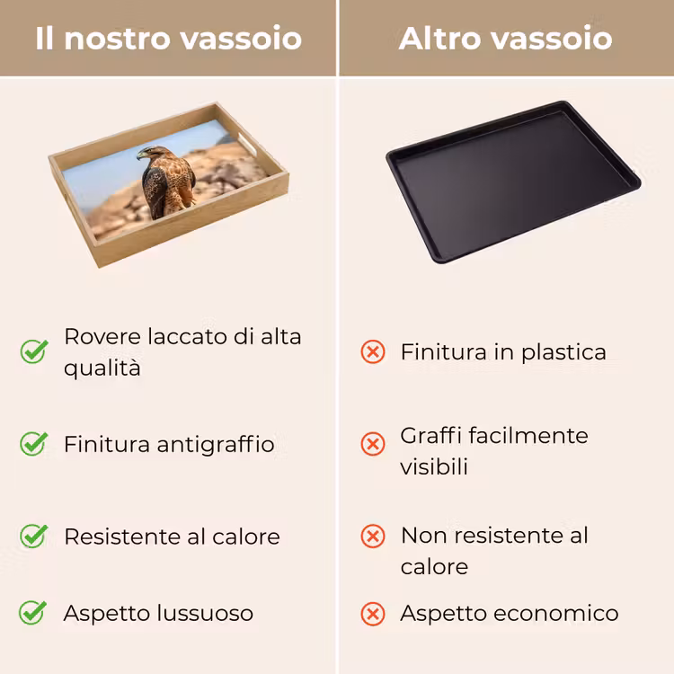 Vassoio - Falco - Uccello - Roccia - Potenza — 9