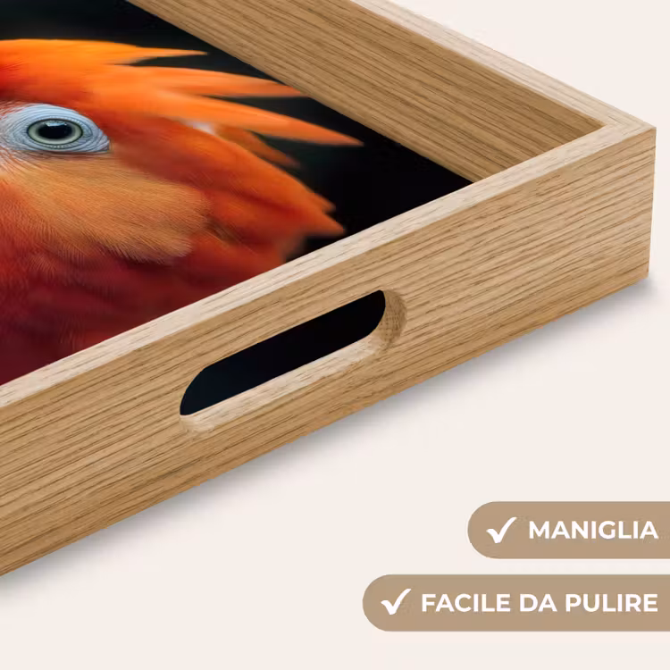 Vassoio - Primo piano - Pappagallo - Piume - Arancione — 8
