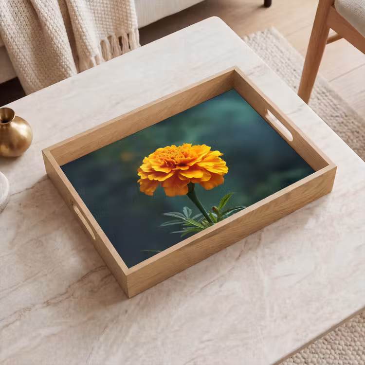 Vassoio - Petali - Africano - Arancione - Sfumato — 2