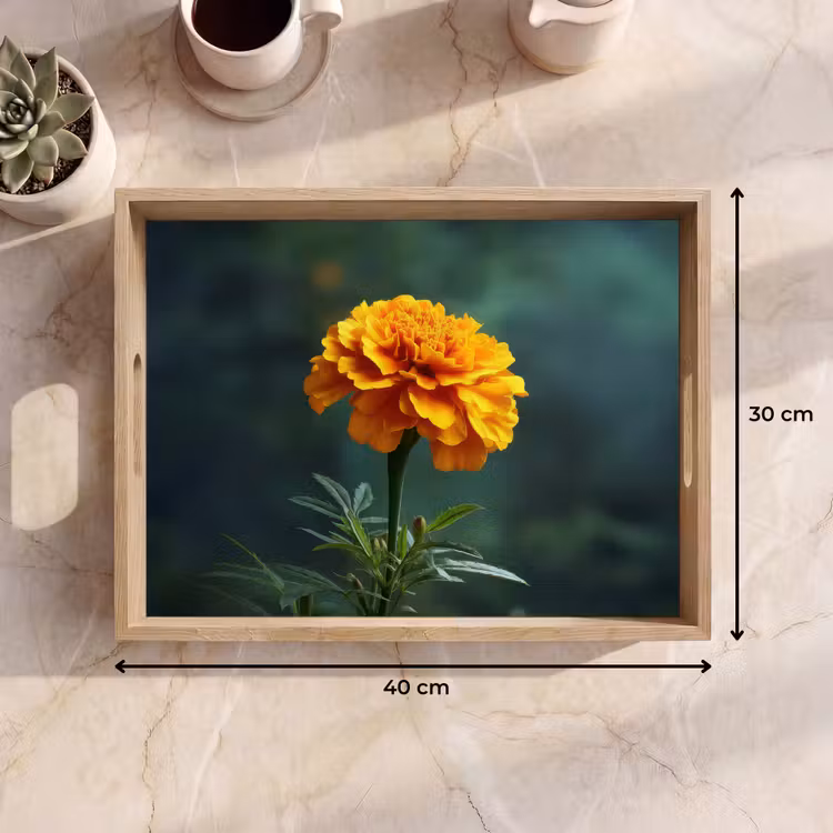 Vassoio - Petali - Africano - Arancione - Sfumato — 7