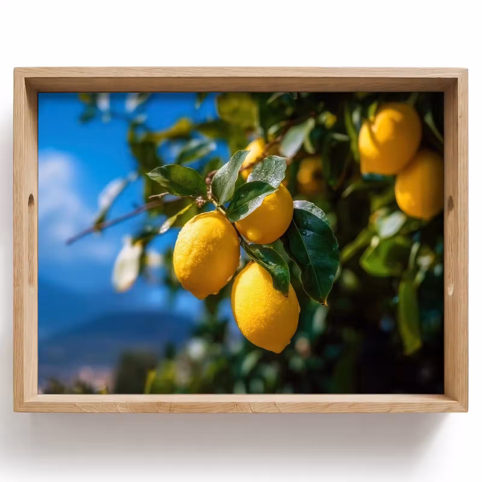 Vassoio - Limoni - Foglie - Cielo blu — 1