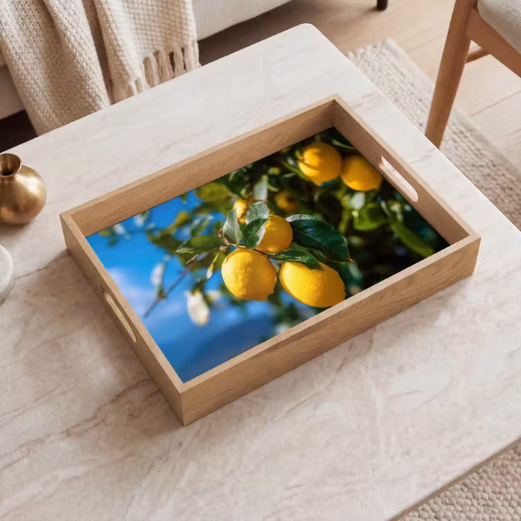 Vassoio - Limoni - Foglie - Cielo blu — 2