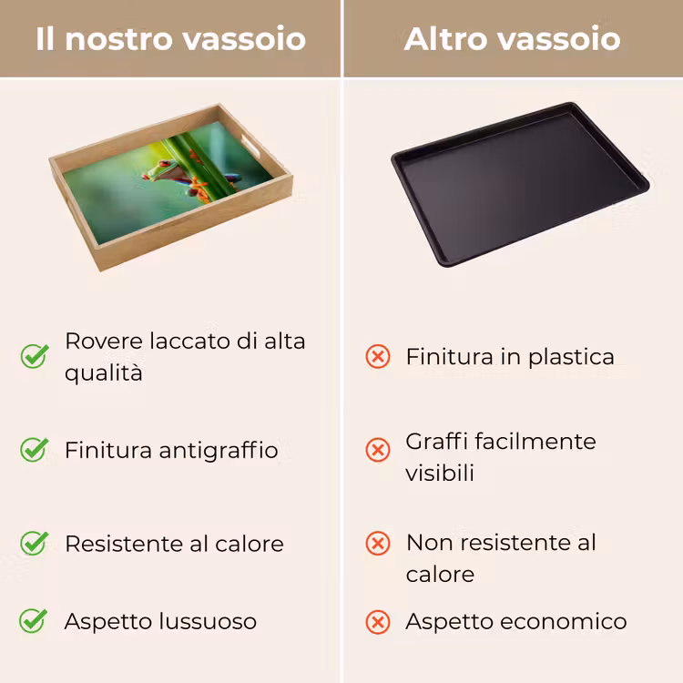 Vassoio - Rana verde - Curioso - Erba — 9
