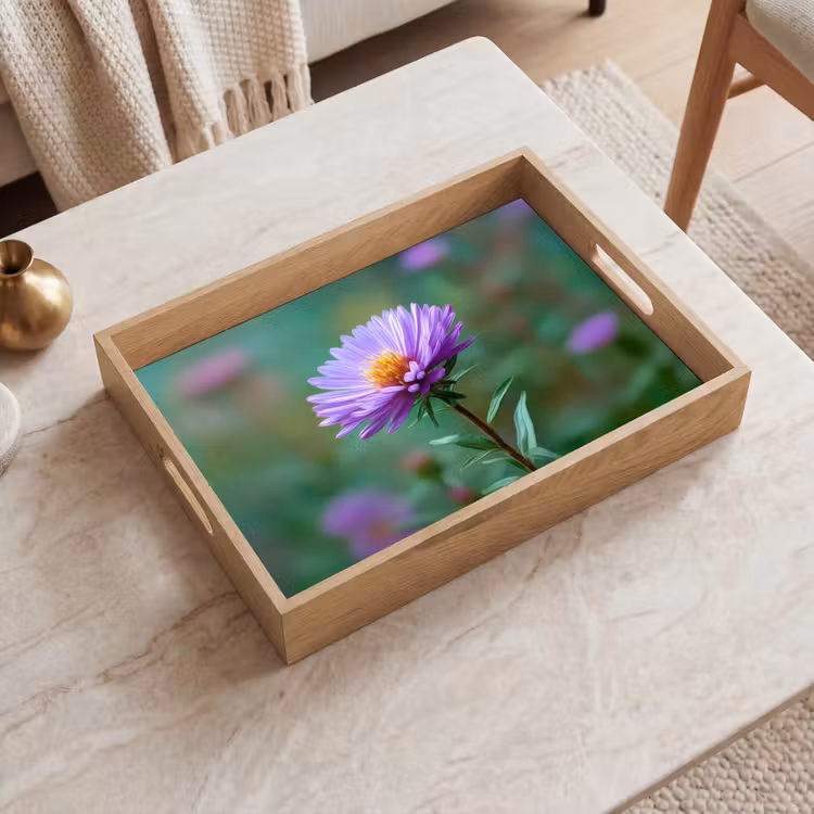 Vassoio - Aster - Viola - Fiore - Petali — 2