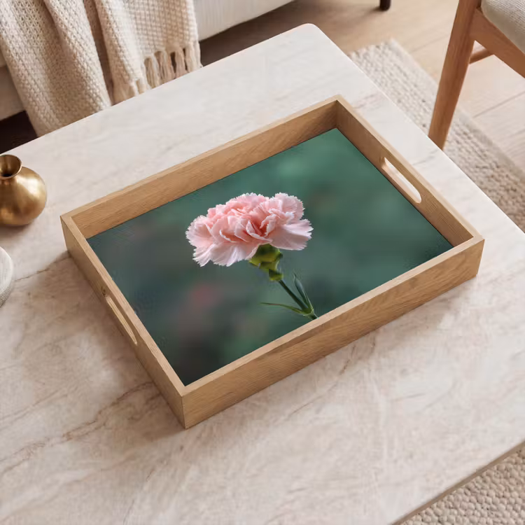 Vassoio - Garofano - Rosa - Petali — 2