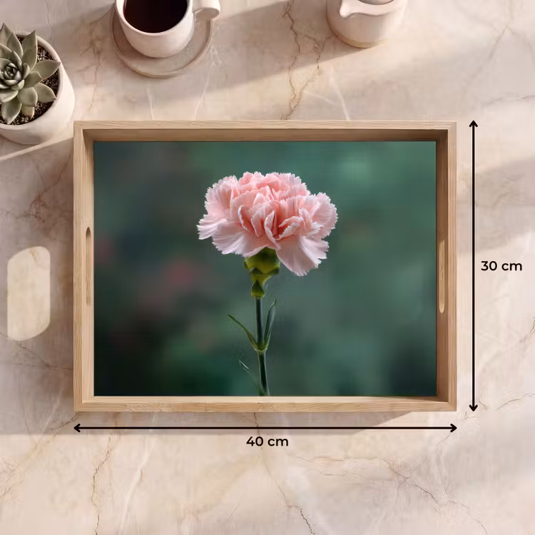 Vassoio - Garofano - Rosa - Petali — 7