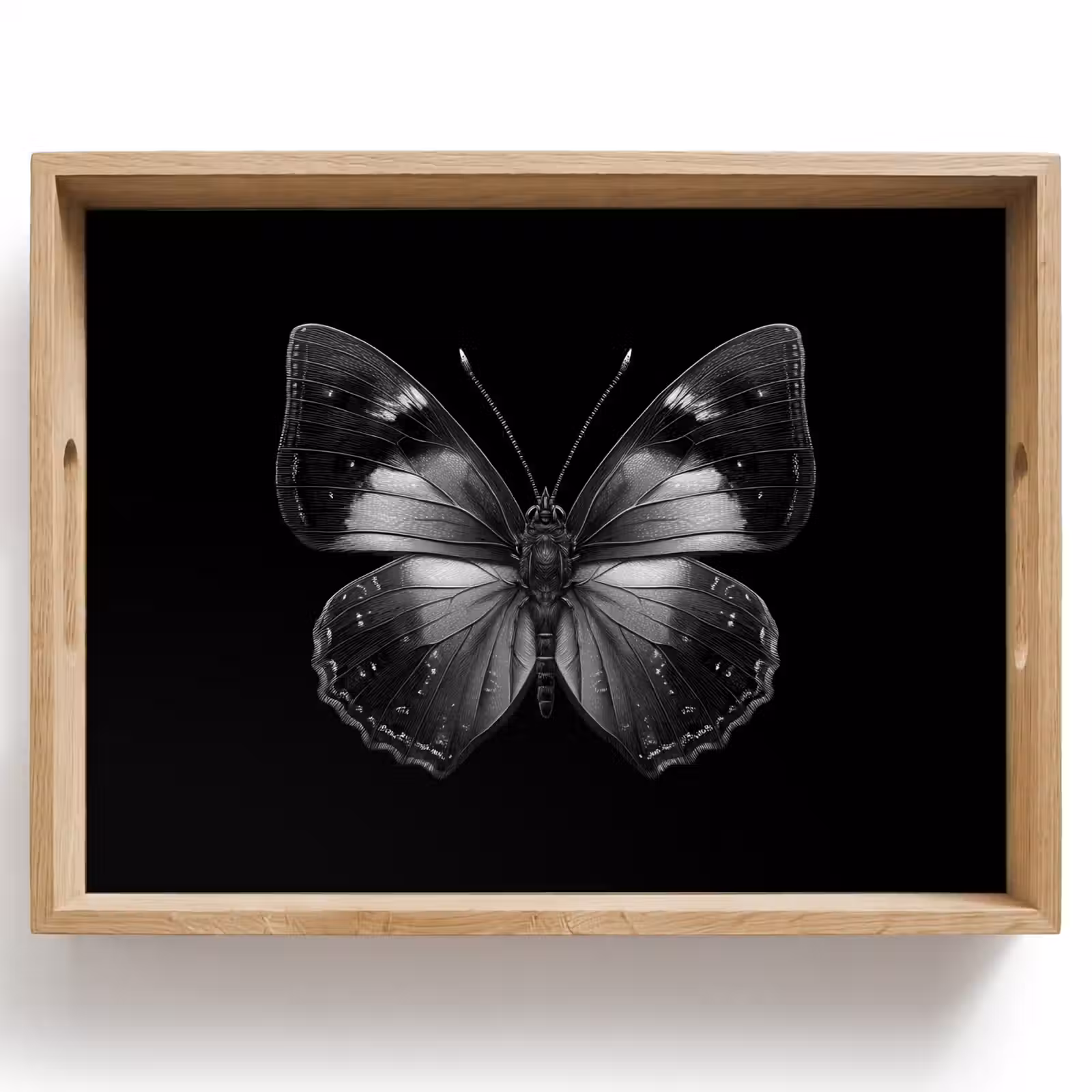 Vassoio - Farfalla - Grigio - Misterioso — 1