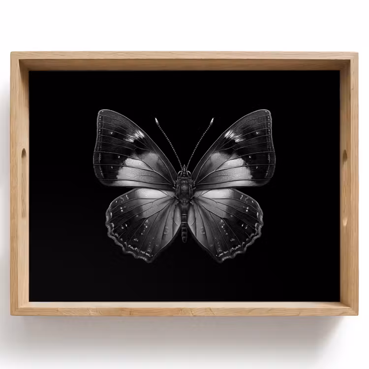 Vassoio - Farfalla - Grigio - Misterioso — 1