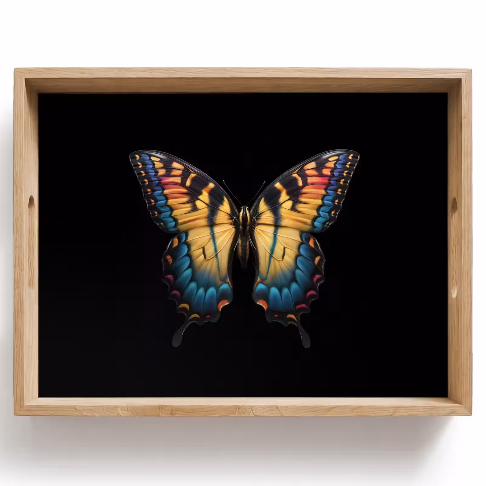 Vassoio - Farfalla - Colorata - Giocosa — 1