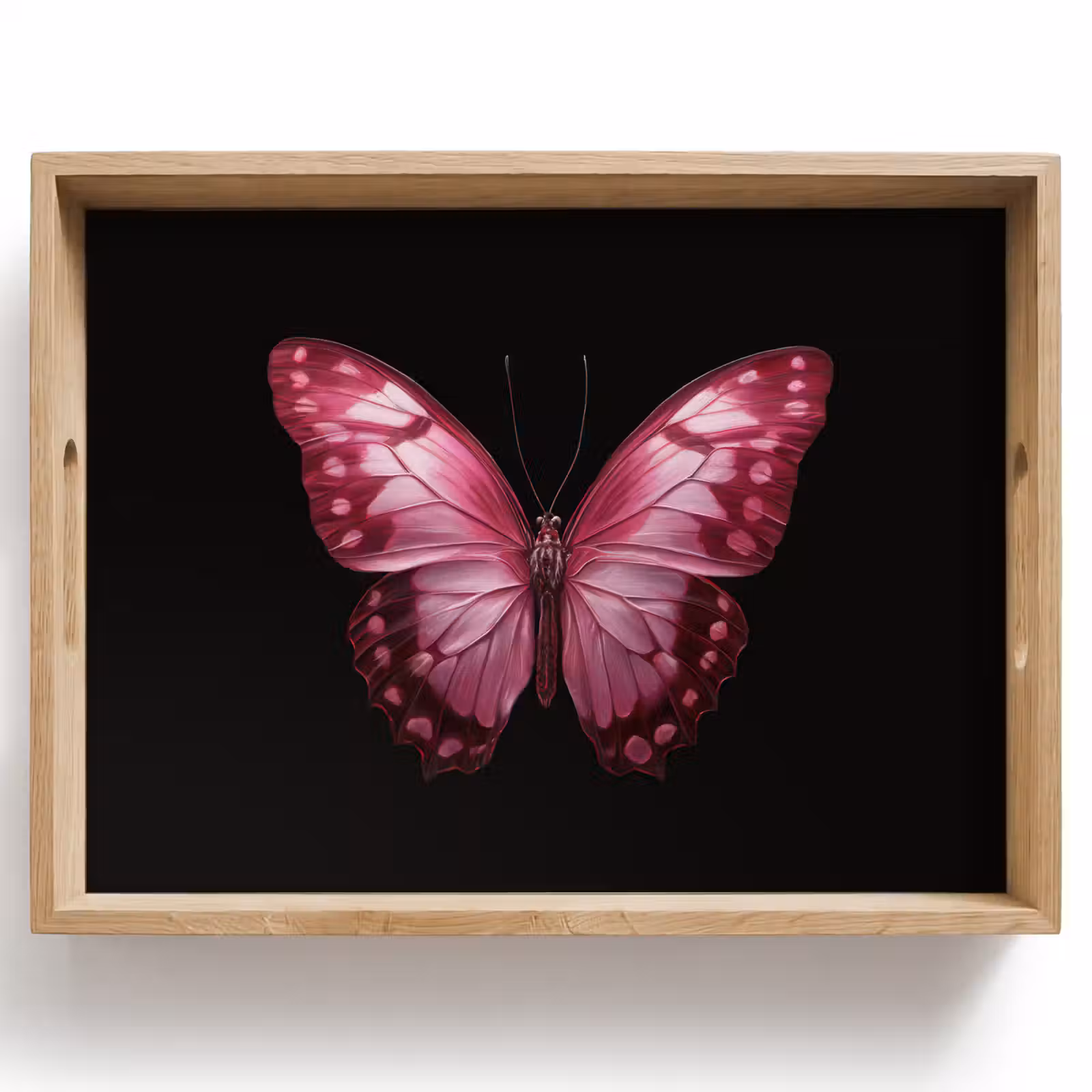 Vassoio - Farfalla - Fucsia - Grafica — 1