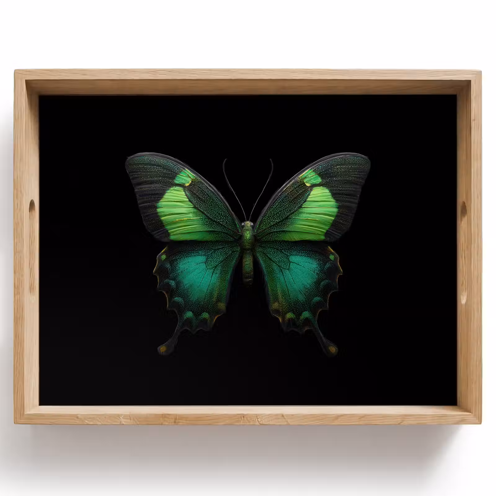 Vassoio - Farfalla - Verde - Accattivante — 1