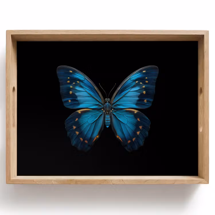 Vassoio - Farfalla - Blu - Contrasto — 1