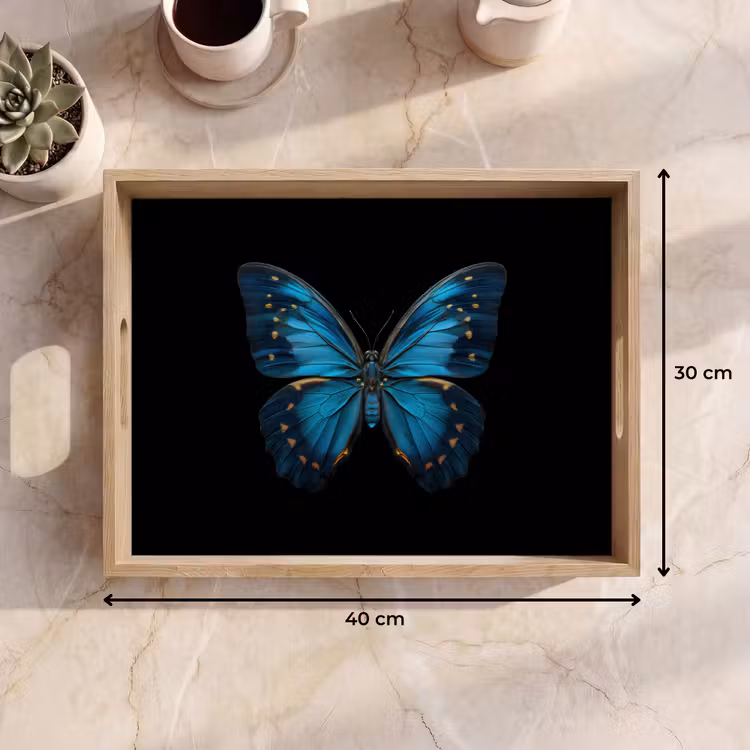 Vassoio - Farfalla - Blu - Contrasto — 7
