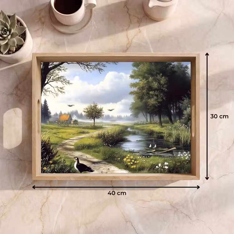 Vassoio - Sentiero sabbioso - Paesaggio verde - Acqua — 7