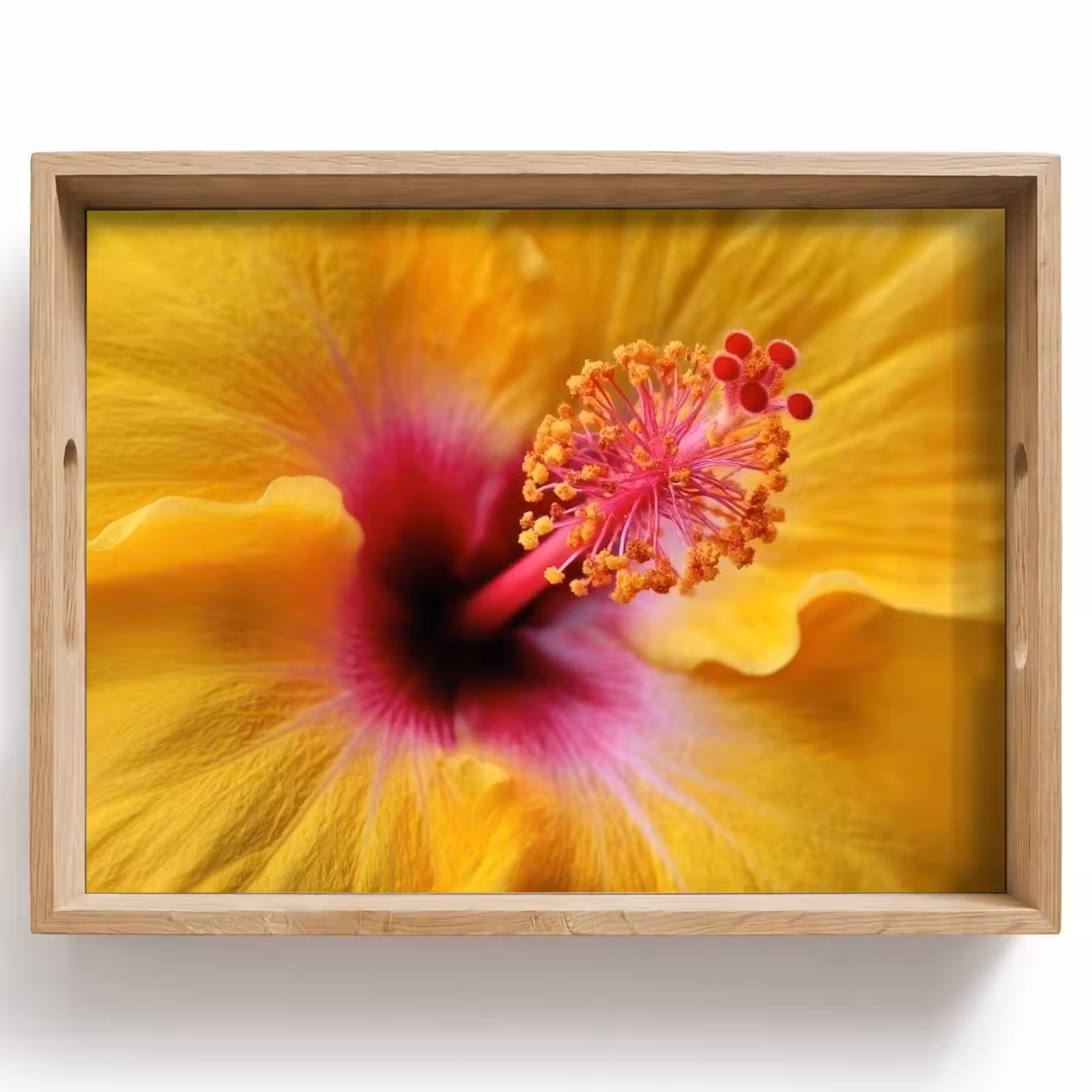 Vassoio - Giallo - Ibisco - Tropicale — 1