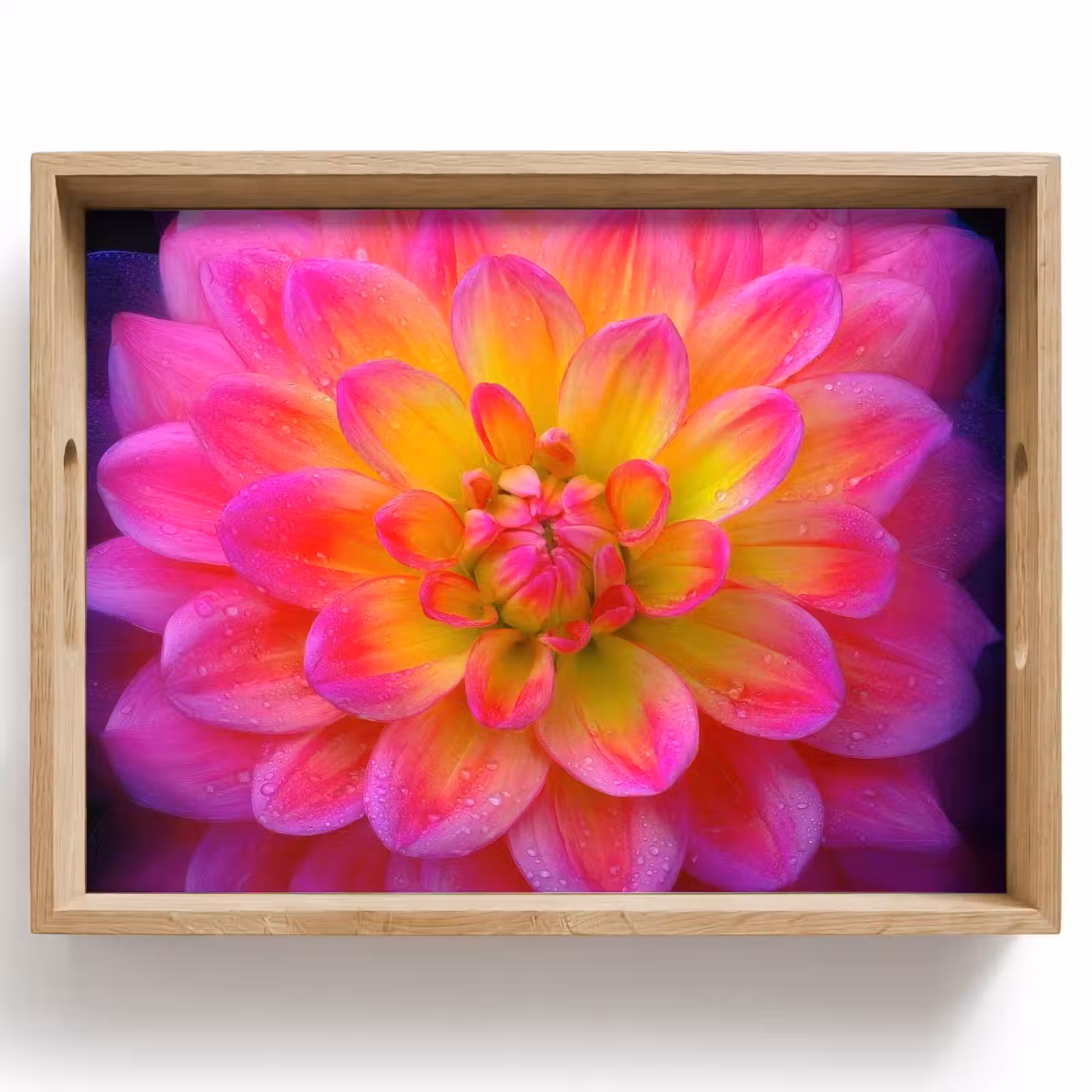 Vassoio - Rosa - Dalia - Colorato — 1