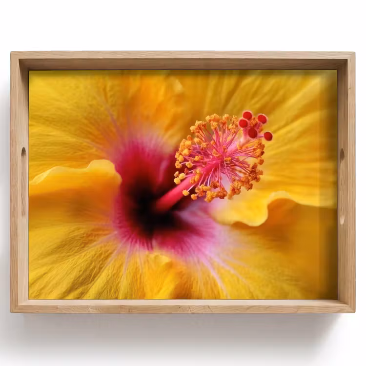 Vassoio - Giallo - Ibisco - Tropicale — 1