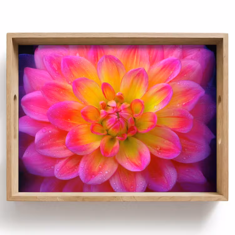 Vassoio - Rosa - Dalia - Colorato — 1