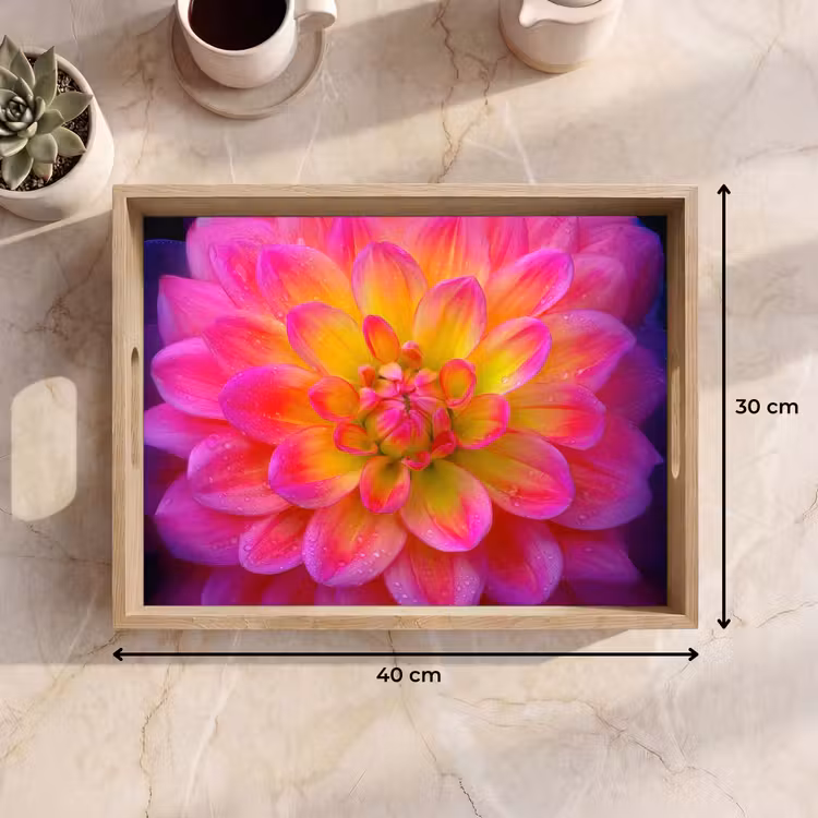 Vassoio - Rosa - Dalia - Colorato — 7