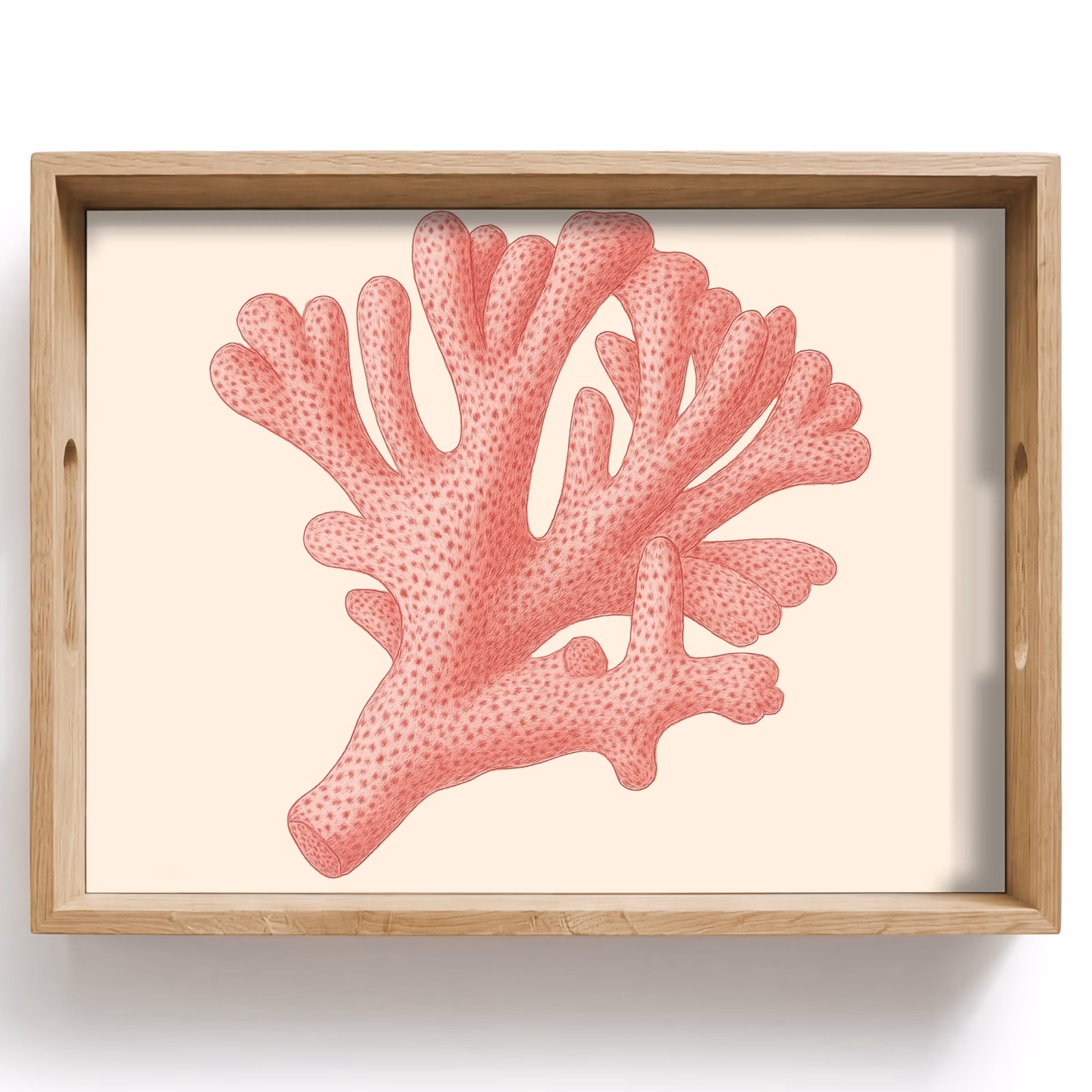 Vassoio - Corallo - Puntini - Rosa — 1