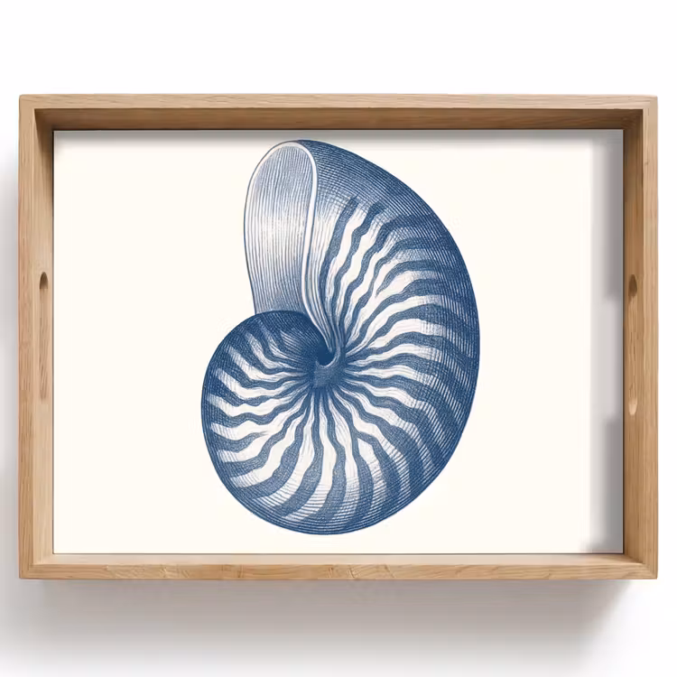 Vassoio - Blu - Conchiglia - Spirale — 1