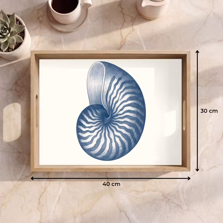 Vassoio - Blu - Conchiglia - Spirale — 7