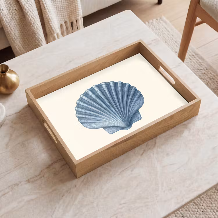 Vassoio - Costola - Blu - Guscio — 2