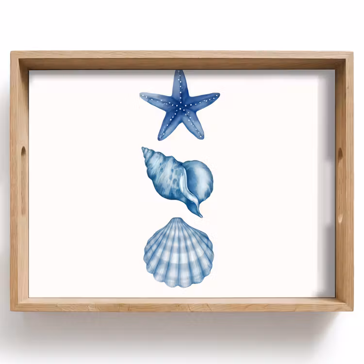 Vassoio - Stella marina - Conchiglie - Blu — 1