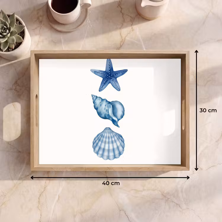 Vassoio - Stella marina - Conchiglie - Blu — 7