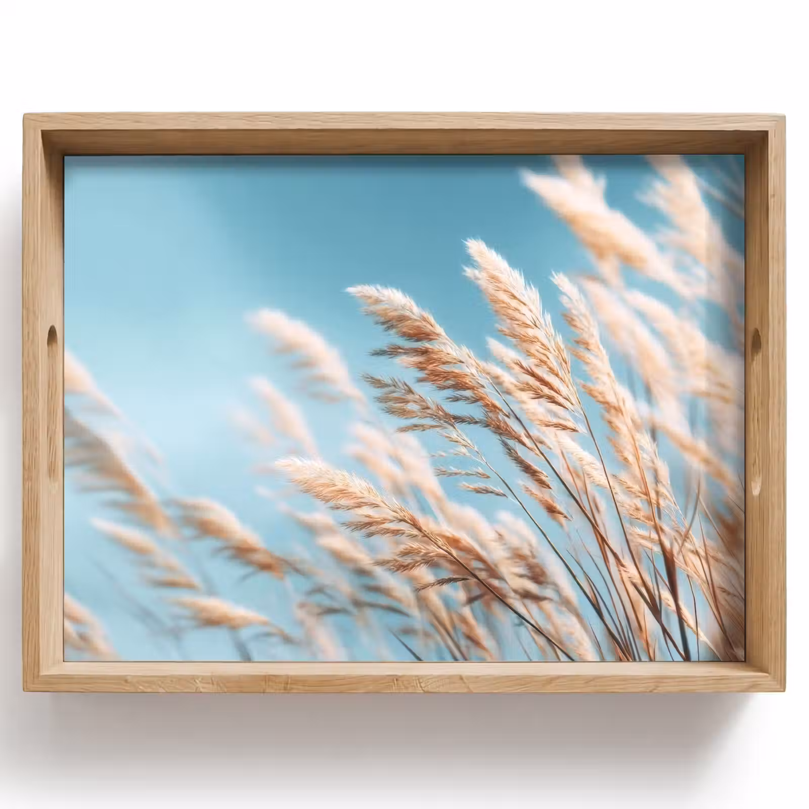Vassoio - Erba ornamentale - Vento - Marrone chiaro — 1