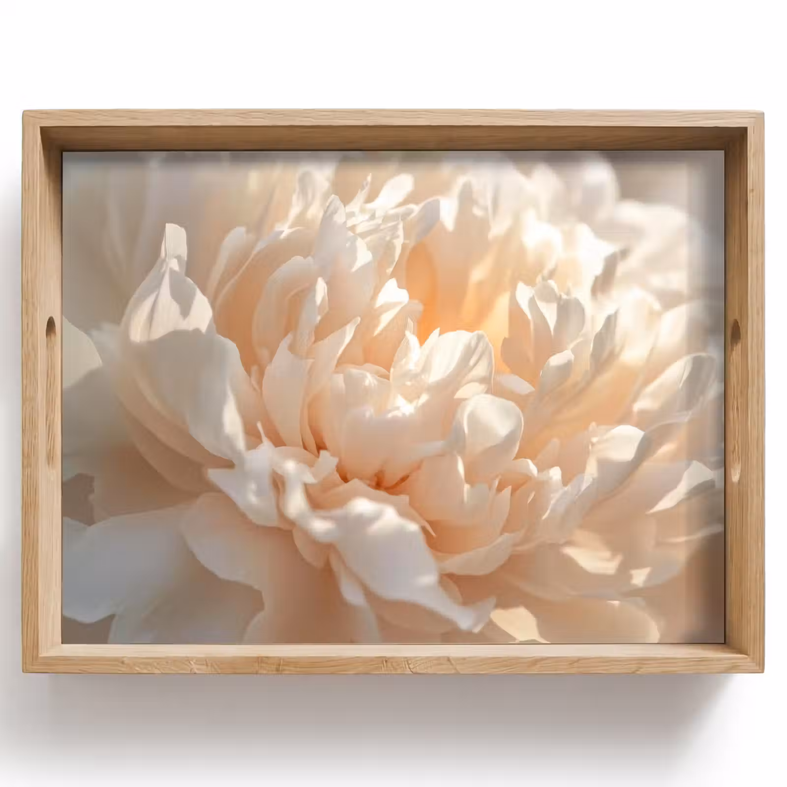 Vassoio - Primo piano - Peonia - Rosa chiaro — 1