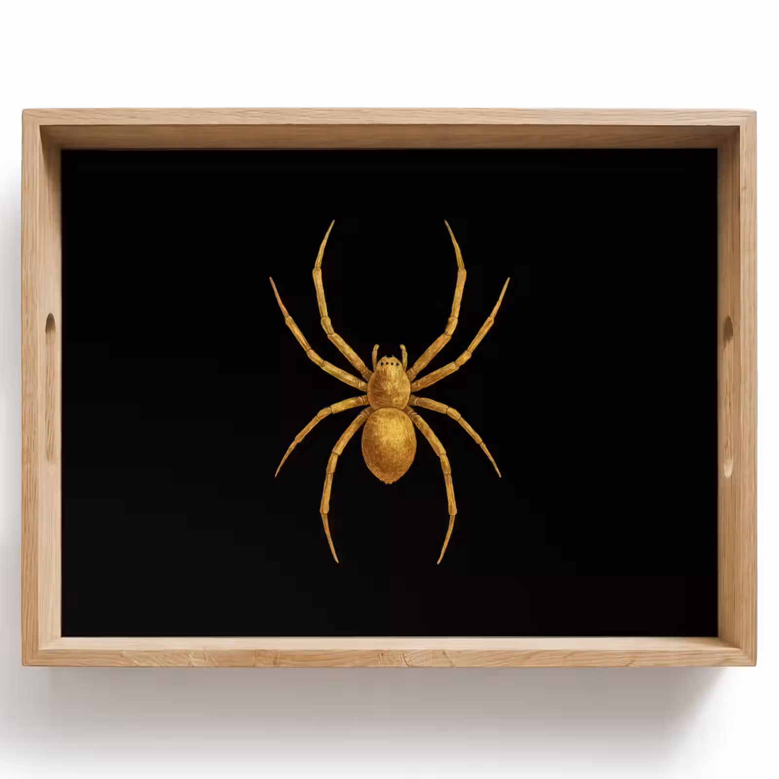 Vassoio - Ragno - Oro - Minimalista - Gambe — 1