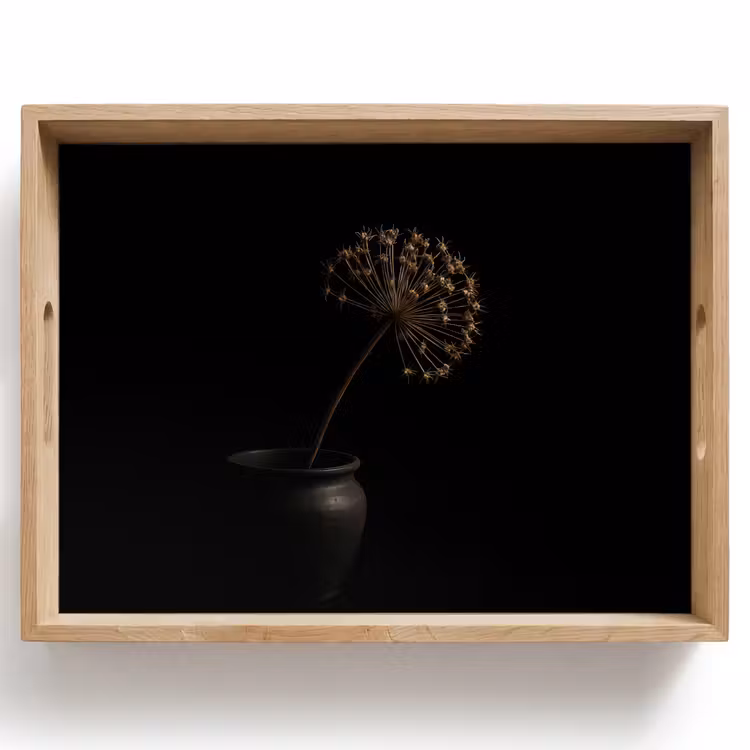 Vassoio - Bulbo - Secco - Vaso - Nero — 1