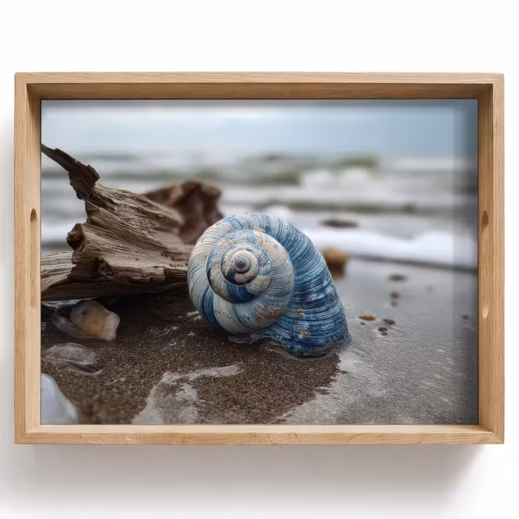 Vassoio - Conchiglia - Spiaggia - Blu - Mare — 1